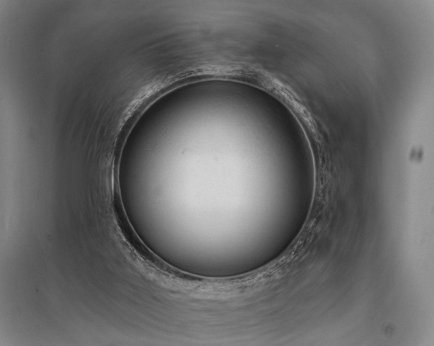 X0000095510011200712141434