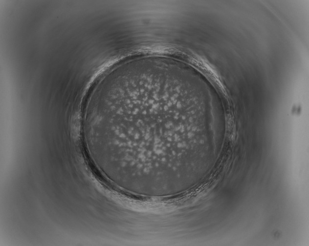 X0000095510012200712141434