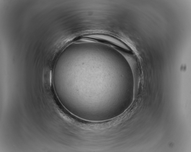 X0000095510013200712141434