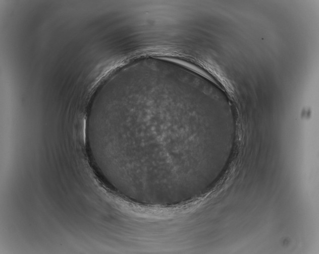X0000095510014200712141434