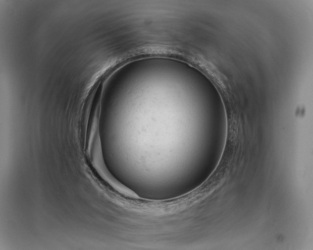 X0000095510015200712141434