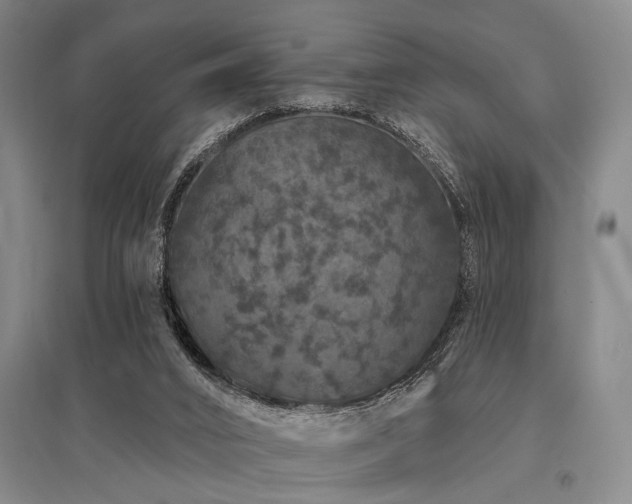 X0000095510016200712141434