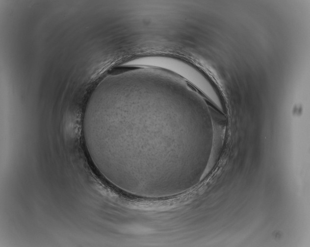 X0000095510017200712141434