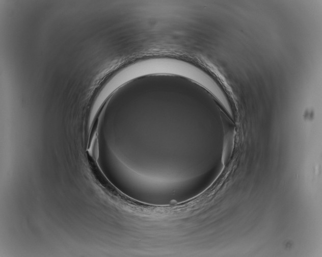 X0000095510019200712141433