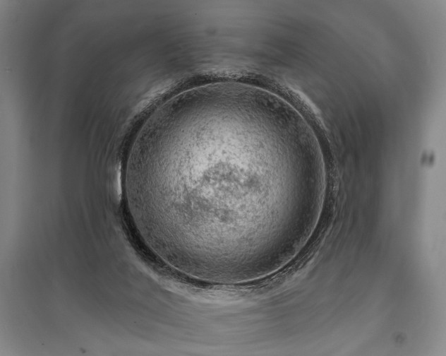 X0000095510020200712141433