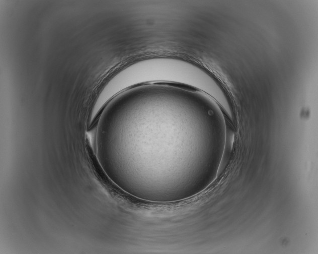 X0000095510021200712141433