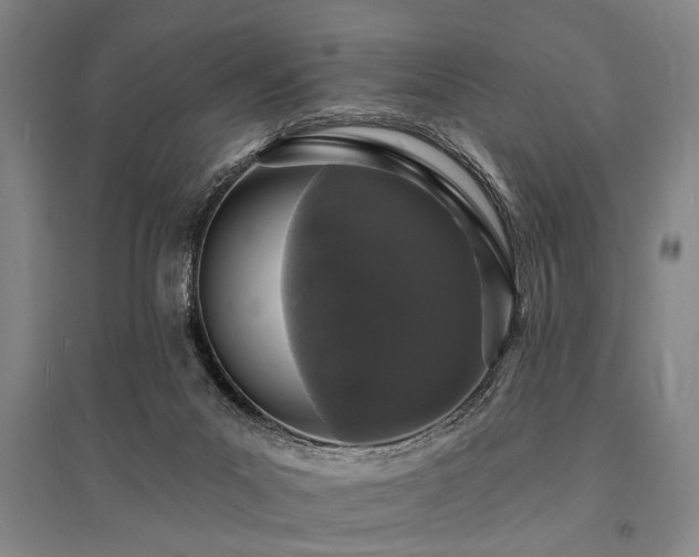 X0000095510023200712141433