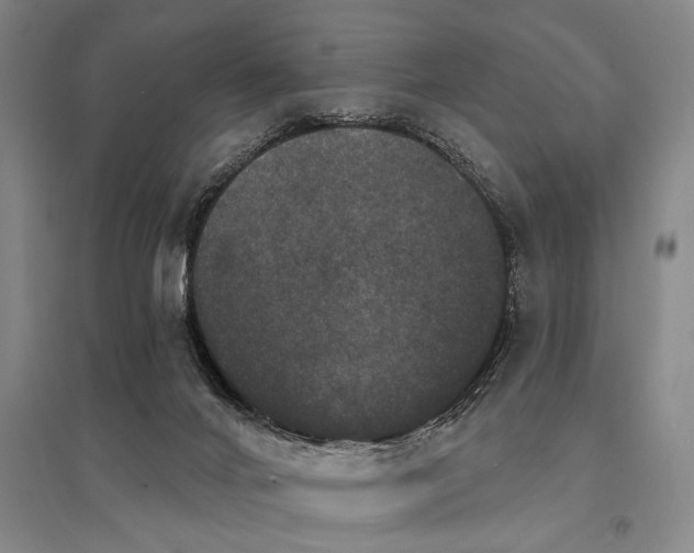 X0000095510024200712141433