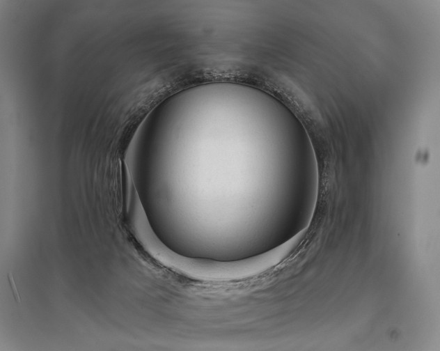 X0000095510025200712141433
