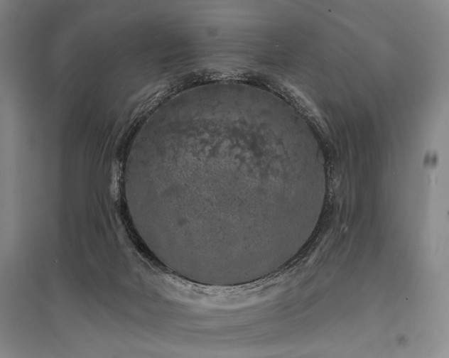 X0000095510026200712141433