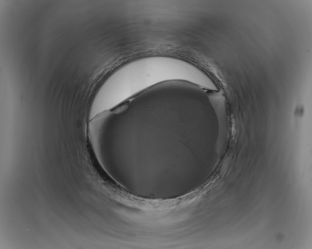 X0000095510027200712141433