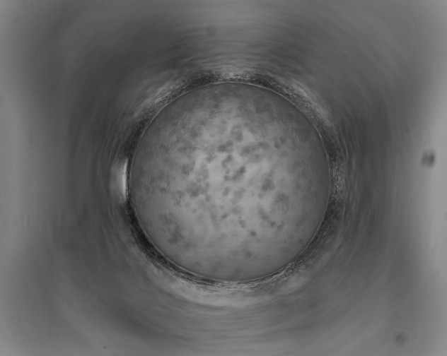X0000095510028200712141433