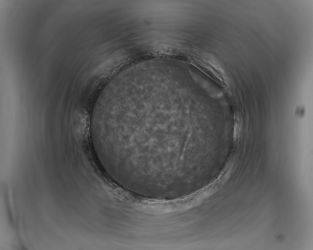 X0000095510029200712141433