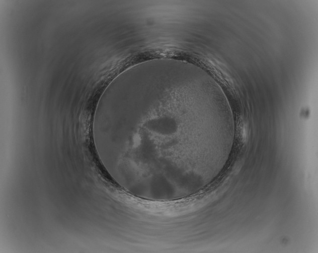 X0000095510030200712141433