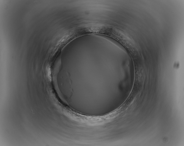 X0000095510031200712141433