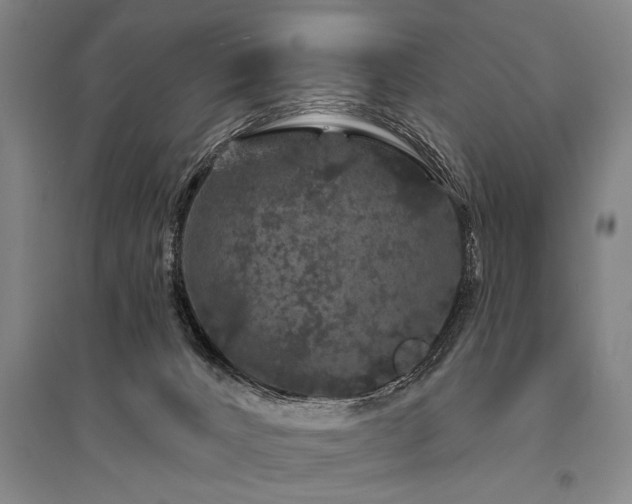 X0000095510032200712141433