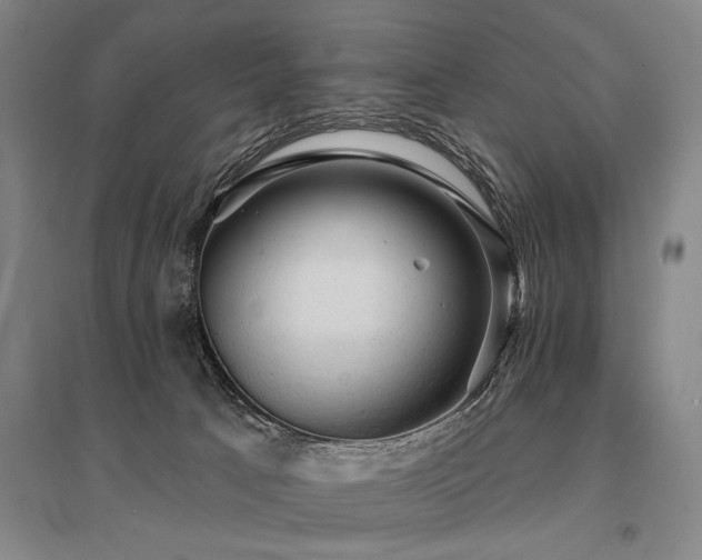 X0000095510033200712141433