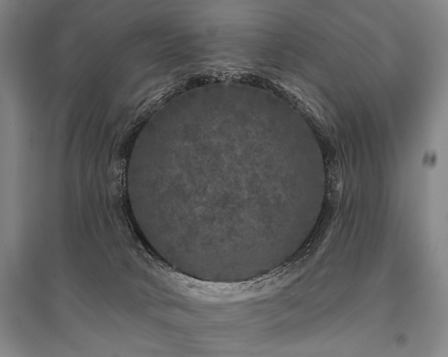 X0000095510034200712141433