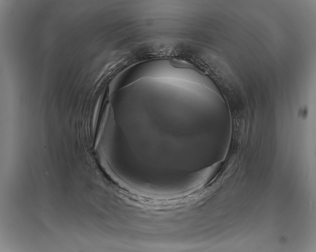 X0000095510035200712141433