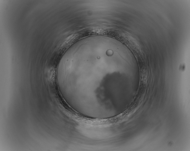 X0000095510036200712141433