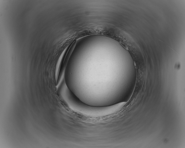 X0000095510037200712141433