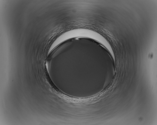 X0000095510039200712141433
