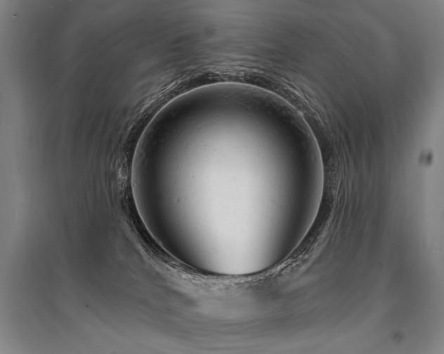X0000095510040200712141433