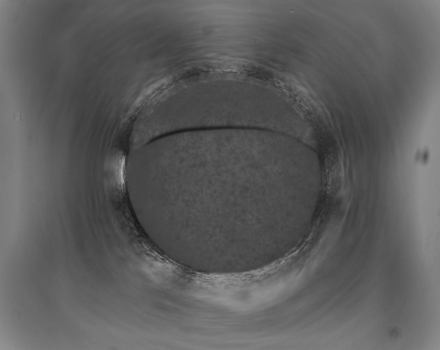 X0000095510041200712141433