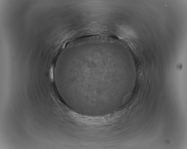 X0000095510042200712141433
