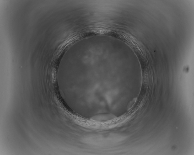 X0000095510043200712141433