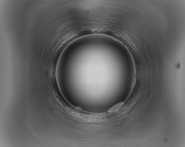 X0000095510044200712141433