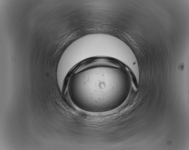 X0000095510045200712141433