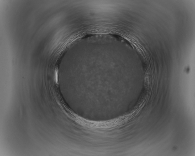 X0000095510046200712141433