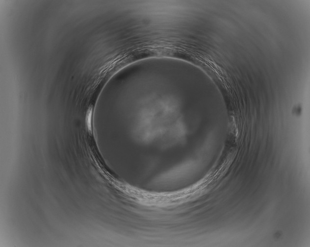 X0000095510047200712141433