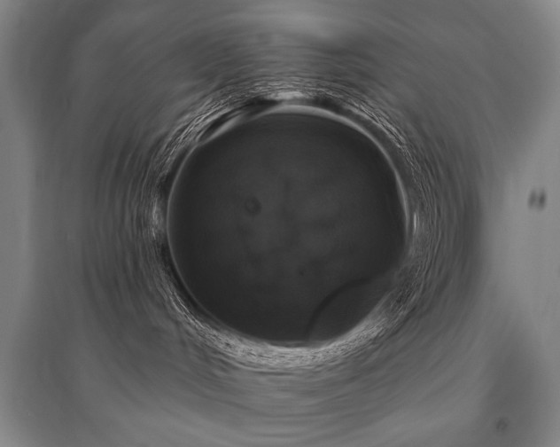 X0000095510048200712141433