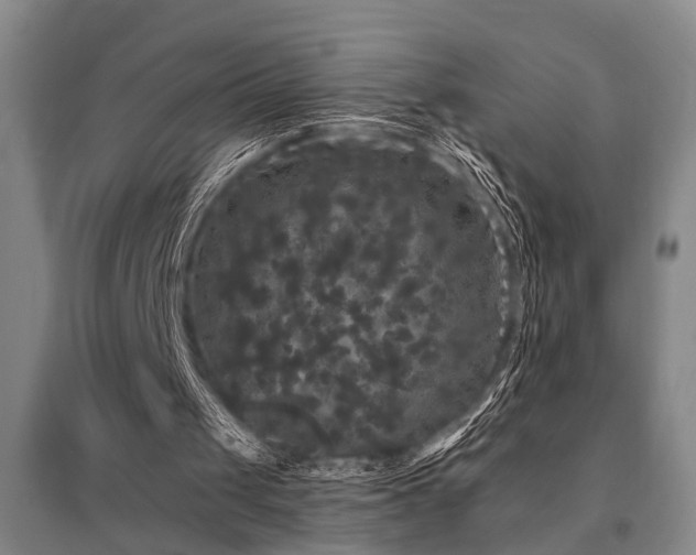 X0000095510049200712141432