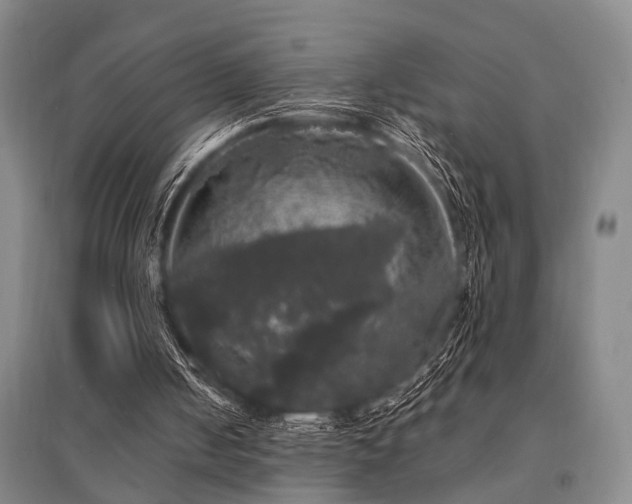 X0000095510050200712141432