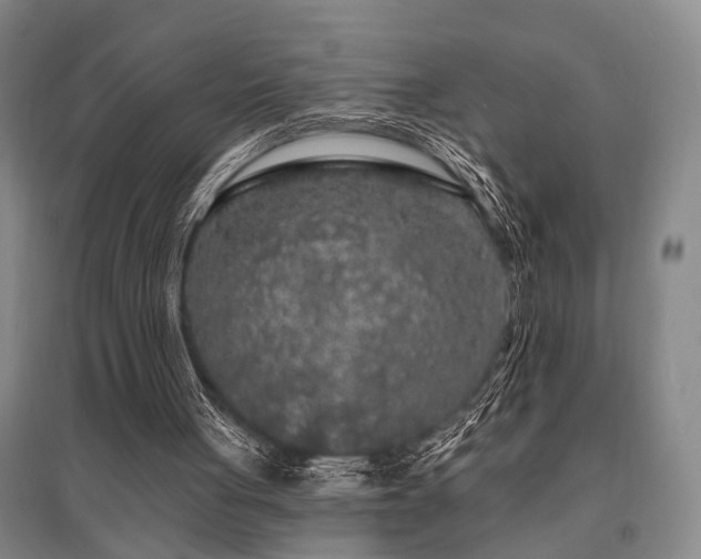 X0000095510051200712141432