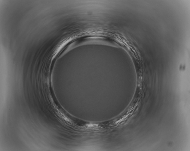 X0000095510052200712141432