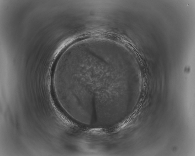 X0000095510054200712141432