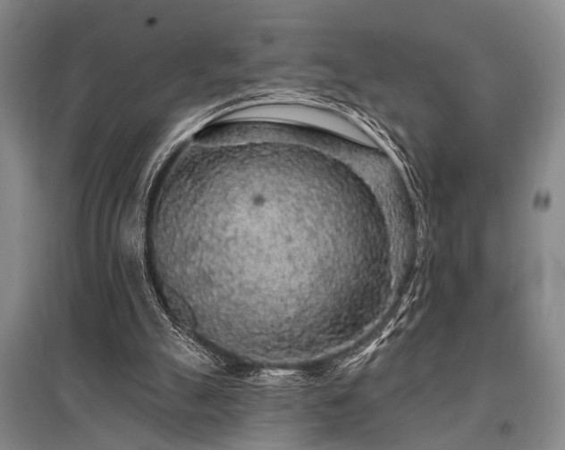 X0000095510055200712141433