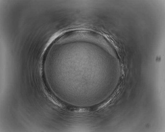 X0000095510056200712141433