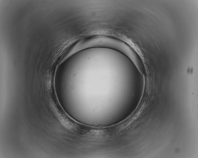 X0000095510057200712141433