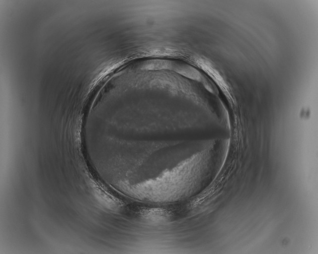 X0000095510058200712141433