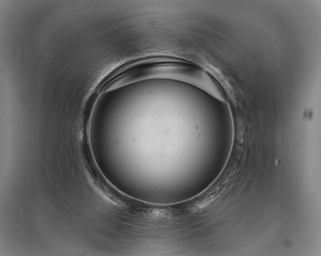 X0000095510060200712141433