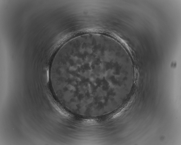 X0000095510061200712141433