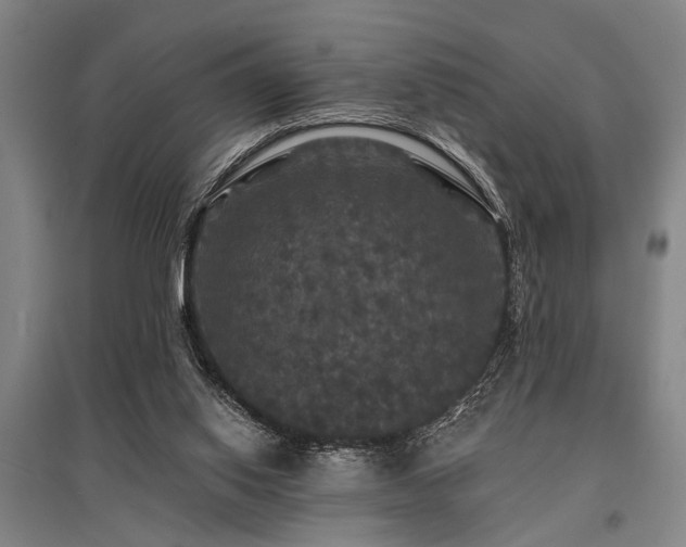 X0000095510062200712141433