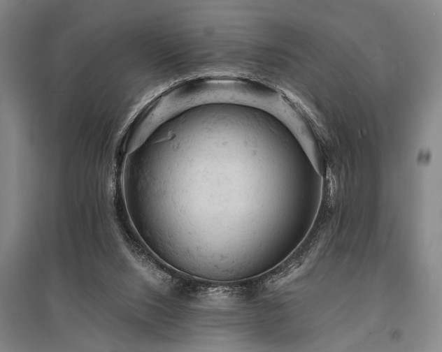 X0000095510064200712141433