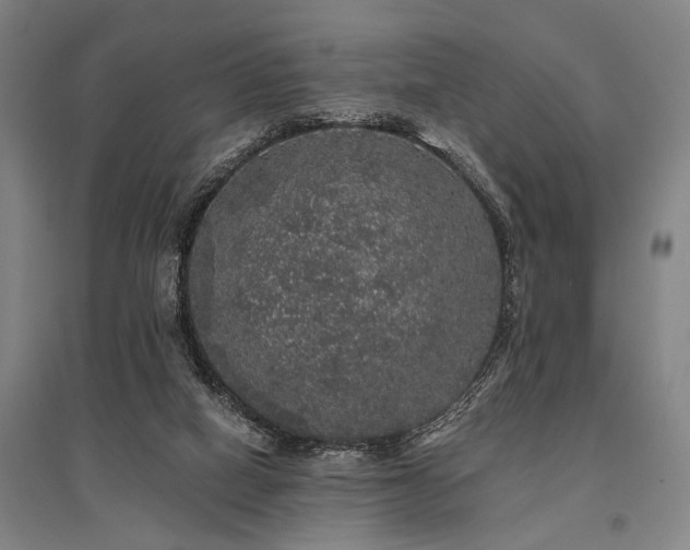 X0000095510066200712141433
