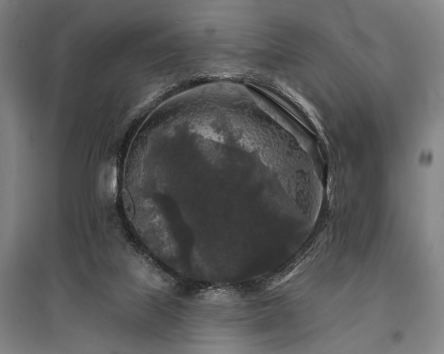 X0000095510067200712141433